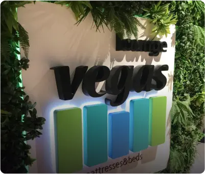 Заказ для Vegas